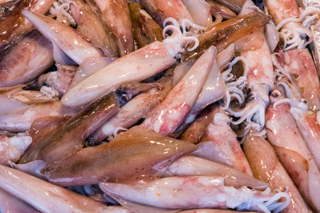 Fresh squid for sale at a market in Palermo, Sicily