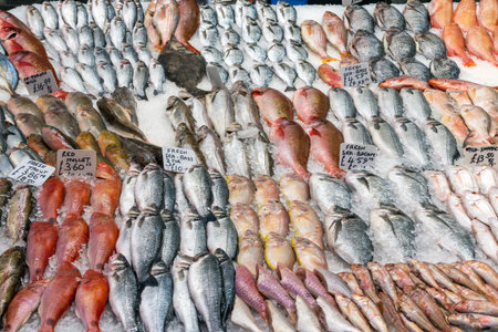 Great choice of fish at a market in London, UK