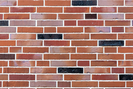 Background from a red and black brick wall