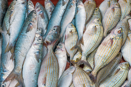 Fresh fish at the Vucciria market in Palermo, Sicilyの写真素材