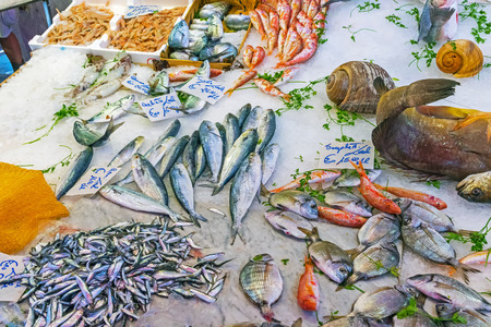 Seafood and fish for a market in Sicilyの写真素材