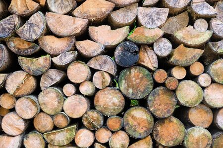 Background from a pile of firewoodの写真素材