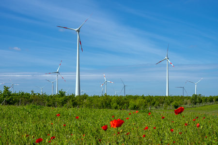 Wind turbines and poppy flowers seen in Germany