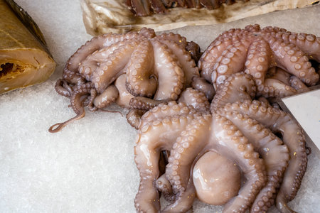Fresh octopus for sale at a market in Venice, Italyの写真素材
