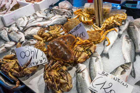 Fish and crustaceans for sale at a marketの写真素材