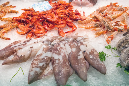 Squid and crustaceans for sale at a market in Barcelonaの写真素材