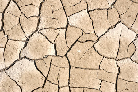 Background from beige cracked soil