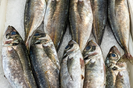 Fresh catch of fish for sale at a market in Lisbon, Portugal