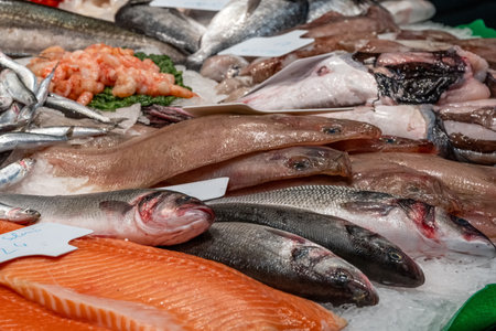 Fresh fish for sale seen at a market in Barcelona, Spainの写真素材