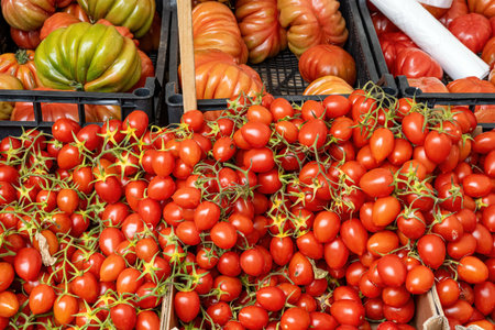 Small and big tomatoes for sale at a marketの写真素材