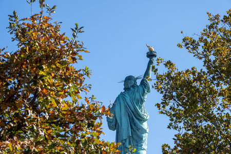 The iconic Statue of Liberty in New York seen through autumn-colored treesの写真素材