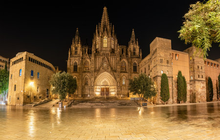 The Barcelona Cathedral with no people at nightの写真素材