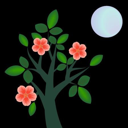 Branch with flowers at nightのイラスト素材