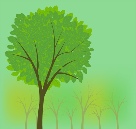 Summer park backgroundのイラスト素材