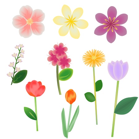 Fantasy flowers vector collectionのイラスト素材