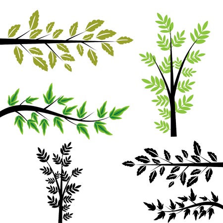 Branches  set with green leavesのイラスト素材