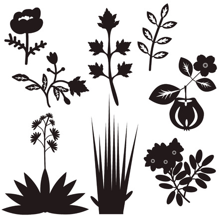 Set of various vector plantsのイラスト素材