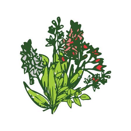 Isolated floral bunch vector illustrationのイラスト素材