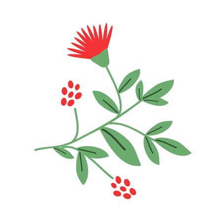 Isolated floral bunch with red flowersのイラスト素材