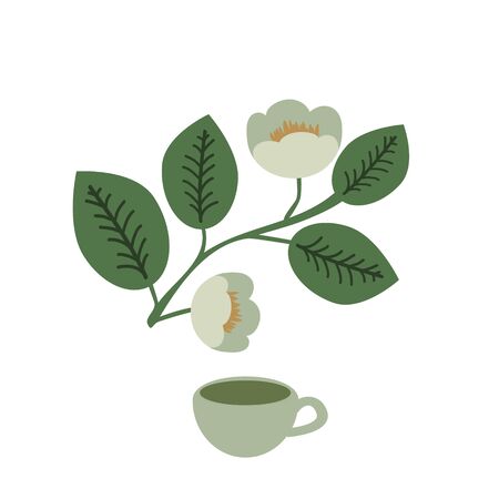 Tea plant branch with flowers and cup vectorのイラスト素材
