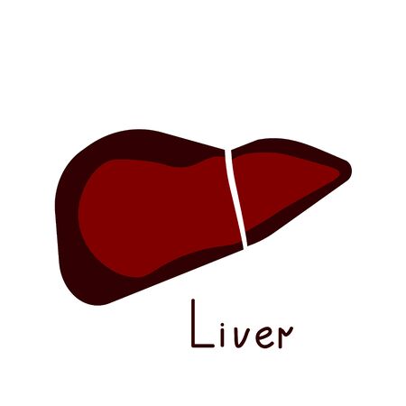Simple isolated liver vector iconのイラスト素材
