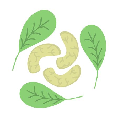 Cashew nuts simple vector iconのイラスト素材