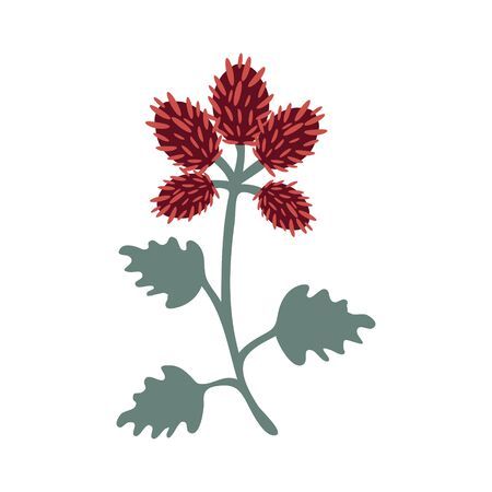 Annatto plant simple vector illustrationのイラスト素材