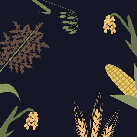 Cereal plants background vector illustrationのイラスト素材