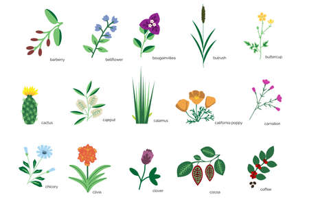 Isolated plants simple icons collectionのイラスト素材