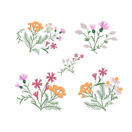 Decorative simple wild flowers collectionのイラスト素材