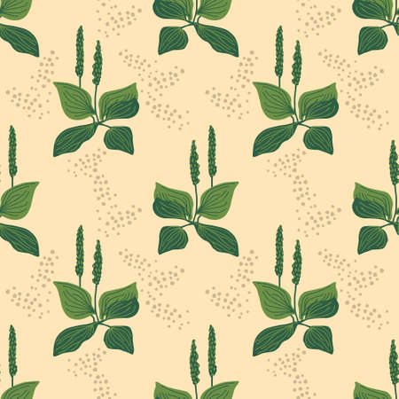 Seamless plantain vector simple patternのイラスト素材