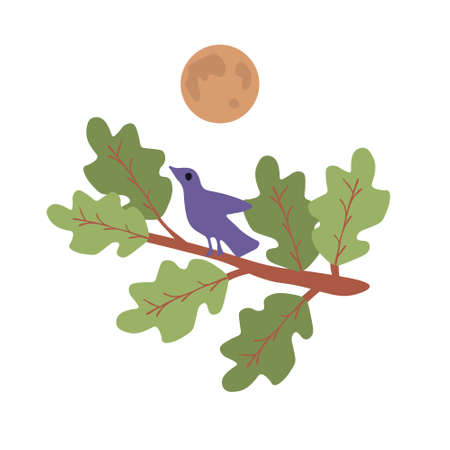 Bird and moon vector illustrationのイラスト素材