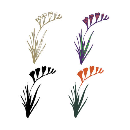 Freesia isolated flowers simple setのイラスト素材