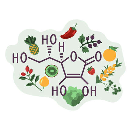 Ascorbic acid sources vector illustrationのイラスト素材