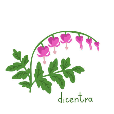 DIcentra plant seamless vector illustrationのイラスト素材