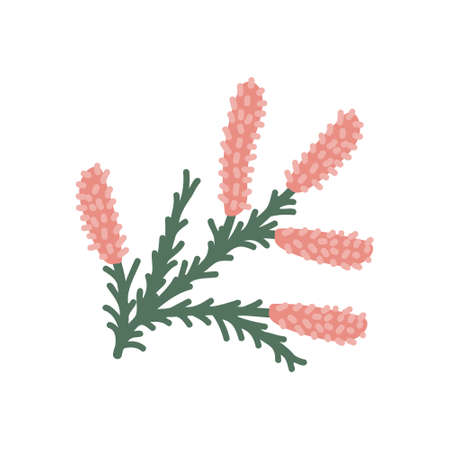 Heather isolated plant vector illustrationのイラスト素材