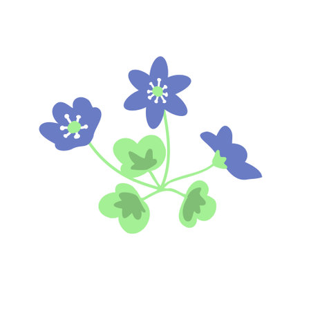 Liverwort isolated plant vector illustrationのイラスト素材