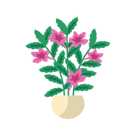 Ruellia house plant vector illustrationのイラスト素材