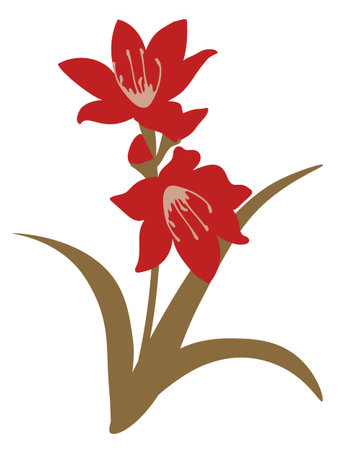 Isolated Vallota flower vector illustrationのイラスト素材