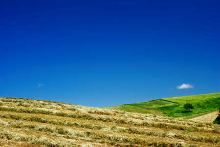 Hay and blue sky in summer landscapeの写真素材