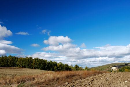 Dry land in the beginning of autumnの写真素材