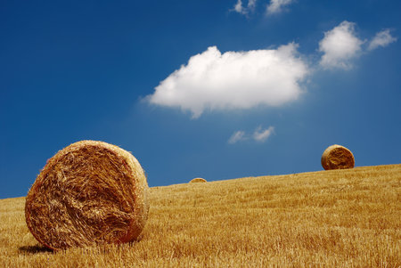 Straw bales in field with beautiful sky