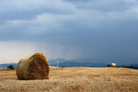 Straw bales in a field under moody skyの写真素材