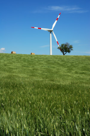 Green wheat field with solitary wind turbine in background (shallow focus on wheat in foreground)
