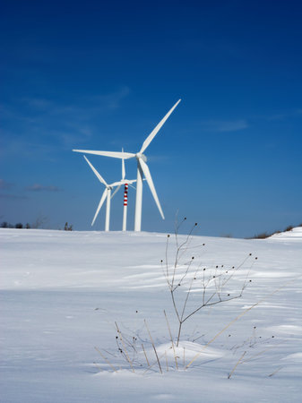 Dry grass and snow with wind turbines on background (selective focus on foreground)