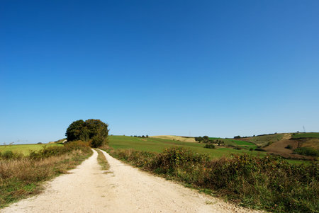 Rural landscape with country road among fields under clear blue skyの写真素材