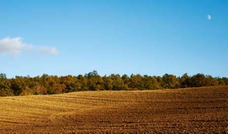 Empty rural landscape with plowed land and line of autumnal trees in backgroundの写真素材