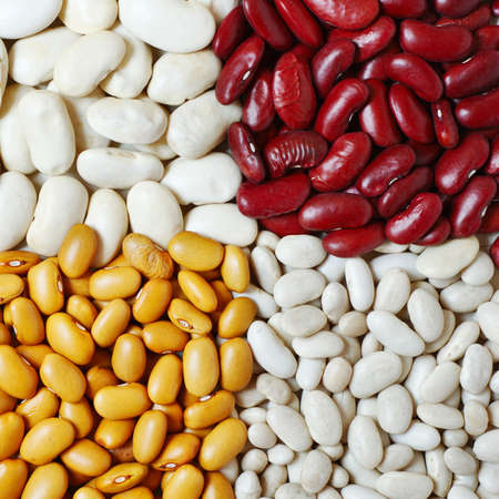 Mixture of four different types and colors of beansの写真素材