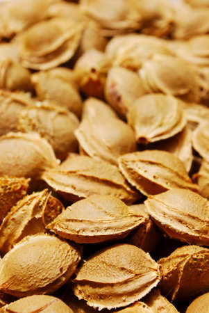 Dry apricot stones (selective focus on foreground)の写真素材