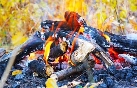 bonfire autumn day, coals.の写真素材
